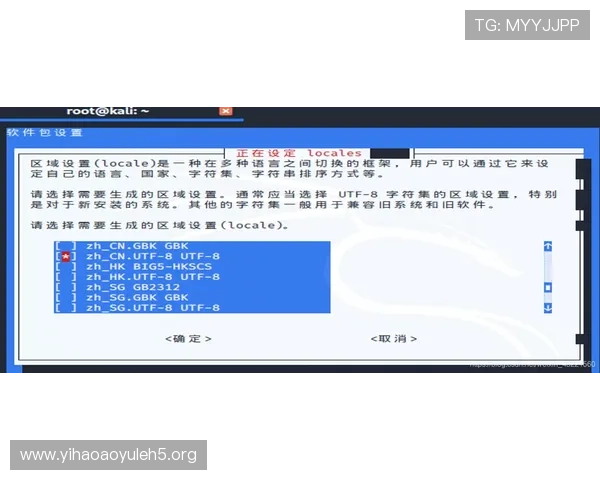 壹号玩家下载中文版常见错误排查与解决方案详解