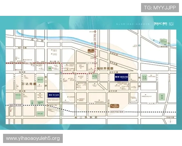 壹号网信息：全面解析壹号网的最新动态与行业影响力